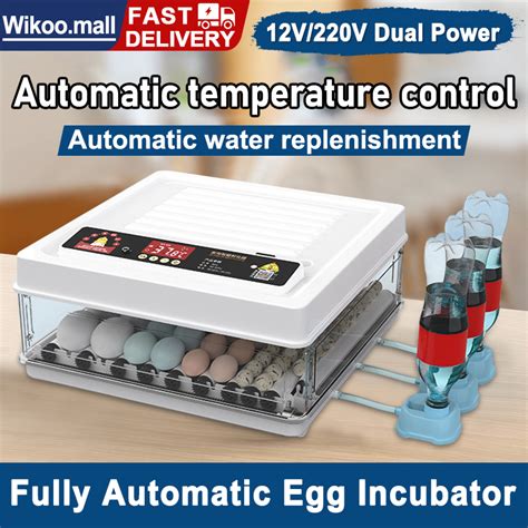 incubator cost per day in philippines|Top 10 .